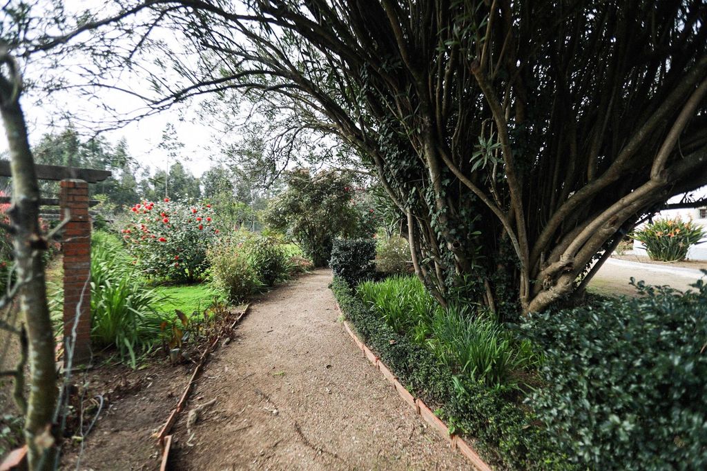 Jardim